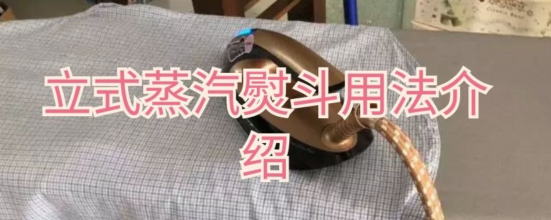 立式蒸汽熨斗用法介绍