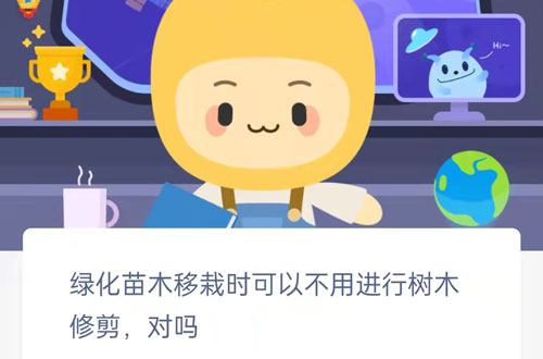 绿化苗木移栽时可以不用进行树木修剪对吗