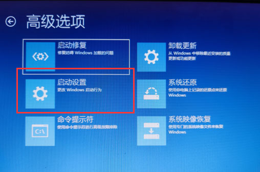 win10登录选项不见了怎么办 win10的登录选项进不去