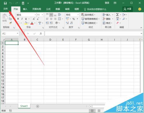 Excel2016如何設(shè)置直接開一個(gè)空白工作簿