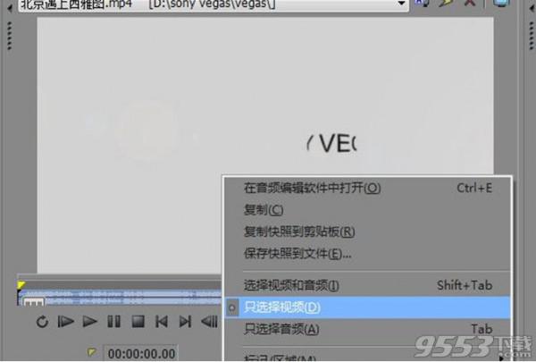 vegas怎么提取视频文件?（vegas怎么保存视频）