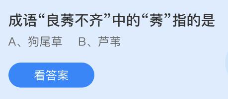 螞蟻莊園11月24日答案最新：我們平常吃的胡蘿卜是它的哪個部位？良莠不齊的莠指什么？