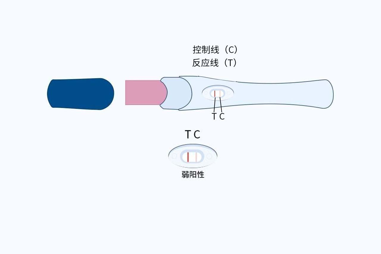 同房14天驗(yàn)孕棒一深一淺圖片