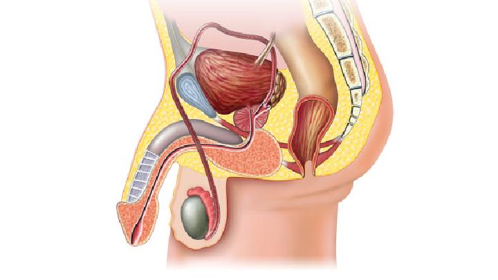 男性性功能障碍时能做些什么 男性性功能障碍能治