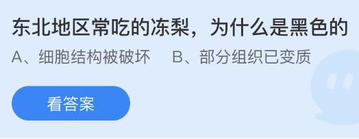 螞蟻莊園12月9日答案最新：我國古代蹴鞠用的球曾用哪種材料制作？凍梨為什么是黑色的？