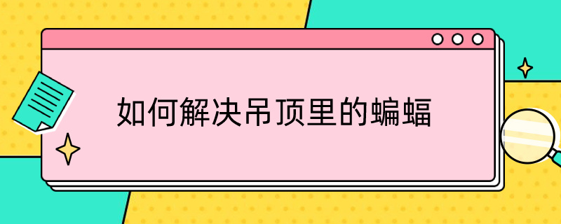 如何解决吊顶里的蝙蝠 蝙蝠吊顶内有蝙蝠怎么办