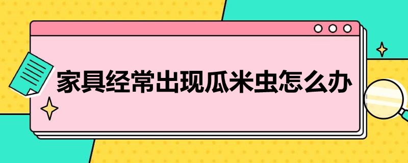 家具经常出现瓜米虫怎么办