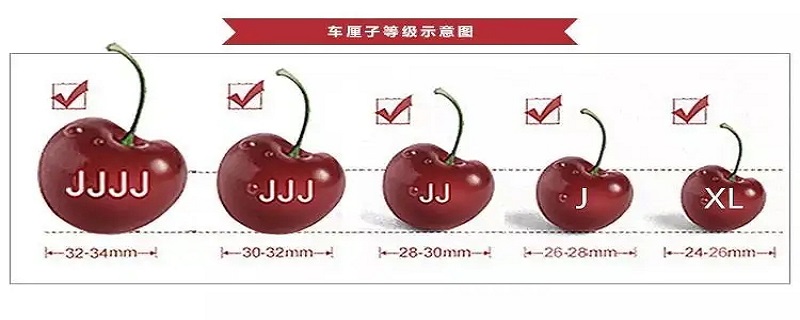 3jd代表什么意思 13j是什么意思