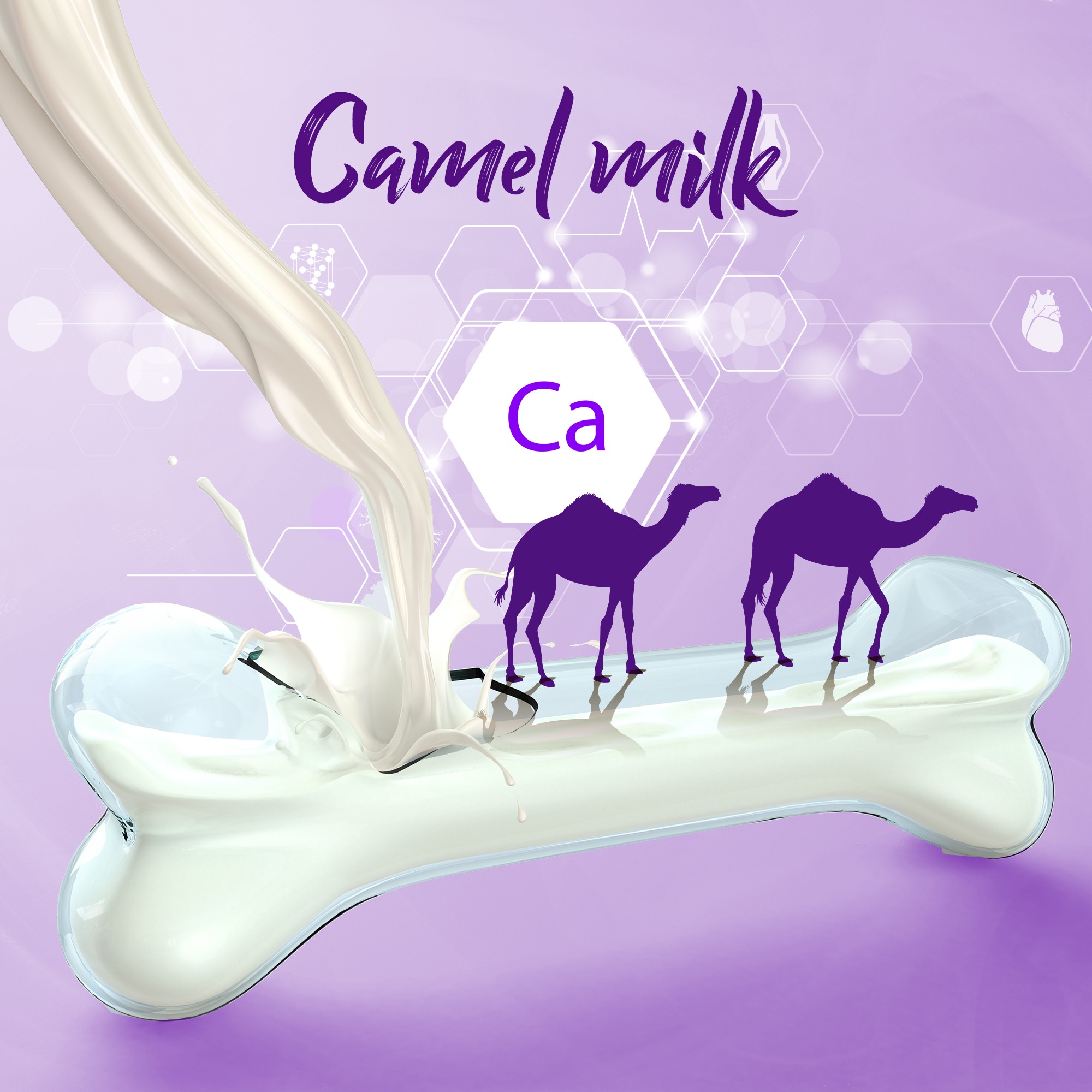 Camelicious駝奶送爸媽，健康身體每*