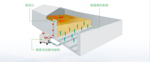 世紀(jì)品牌麥克維爾助建糧食安全長(zhǎng)城