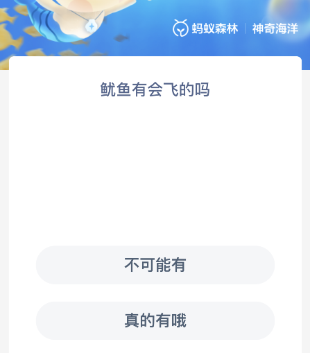 鱿鱼有会飞的吗 鱿鱼为什么会