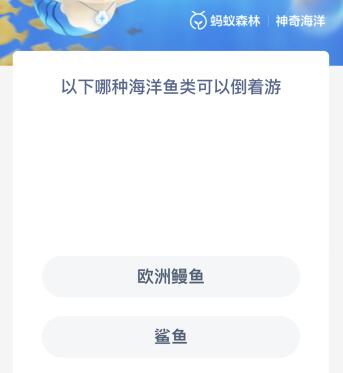 以下哪種海洋魚類可以倒著游 什么魚可以倒著游