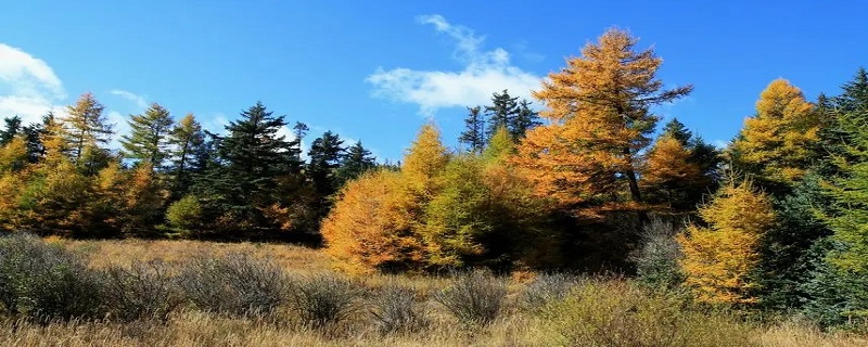 宁武县景点（宁武县景点图片）