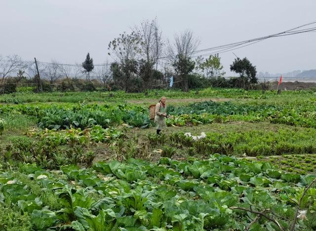 故乡里的中国｜即将沉入水下的故乡（人民故乡水下一句）