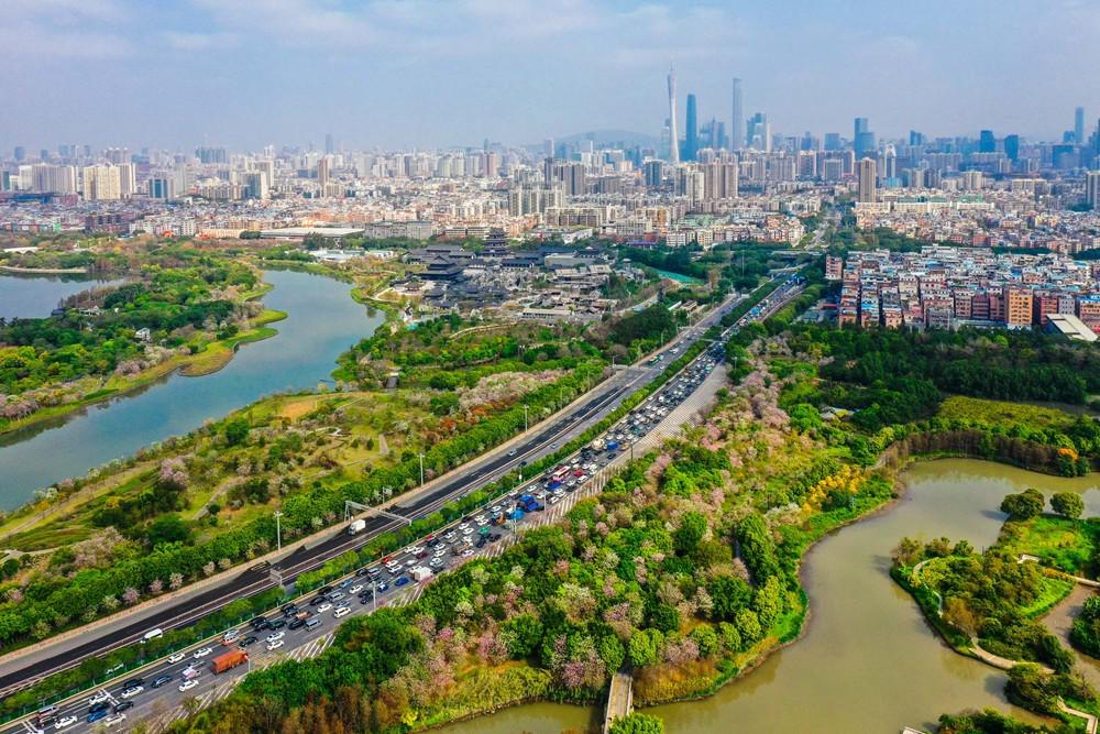 疯狂建大学的广东，开始“收割”了（广东正在疯狂建大学）