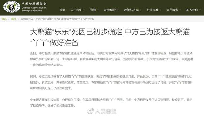 旅美大熊貓樂樂死因初步確定，中方已為接返熊貓丫丫做好準(zhǔn)備 