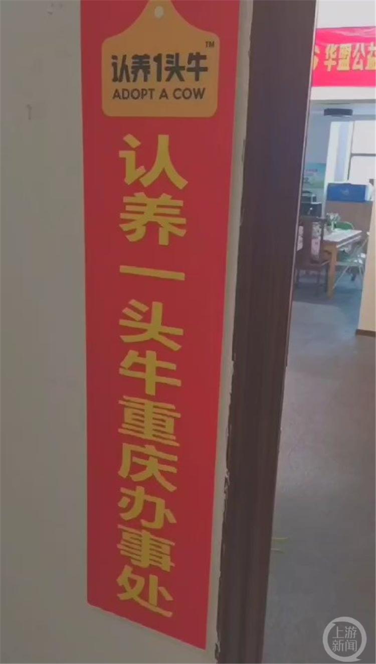 此“1頭?！狈潜恕耙活^?！保ㄒ活^牛的意思）