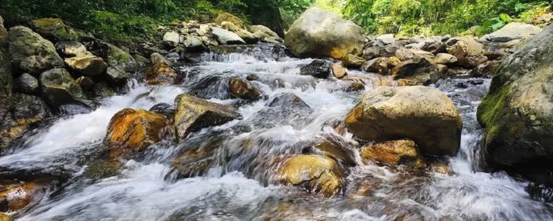 泉水可以直接饮用吗（桶装山泉水可以直接饮用吗）