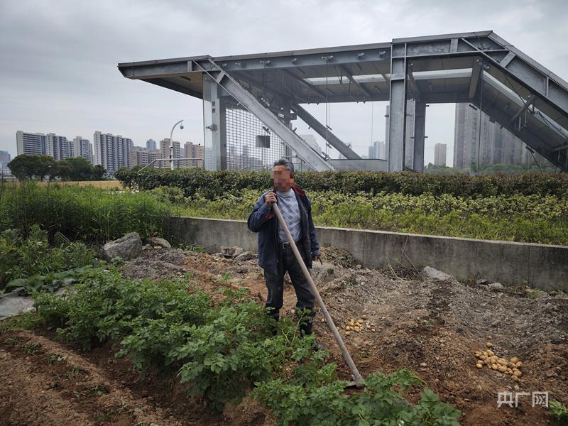 浙江宁波一地铁站建在基本农田里 宁波地铁站规划