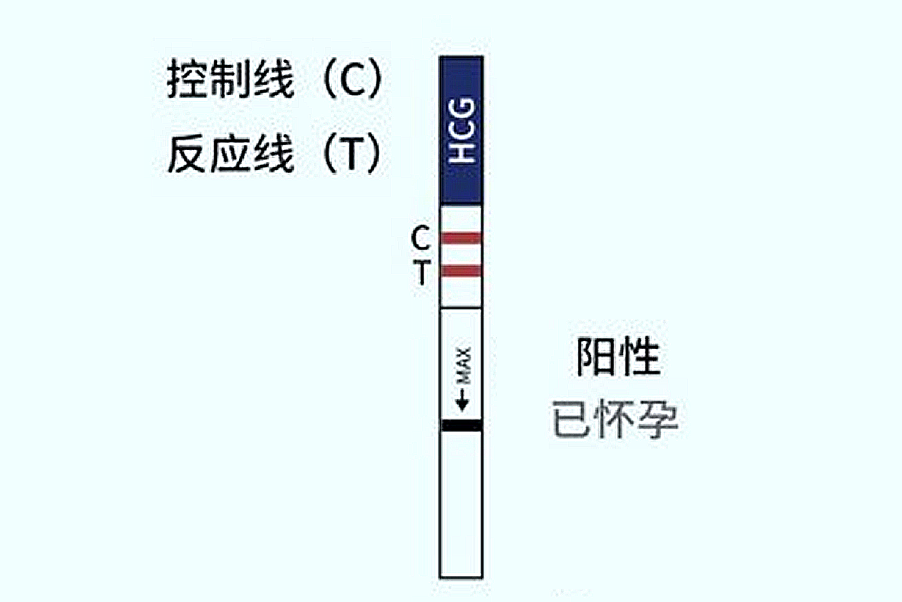 人流32天验出两条红杠是怀孕了吗图片（人流32天验出两条红杠是怀孕了吗图片视频）