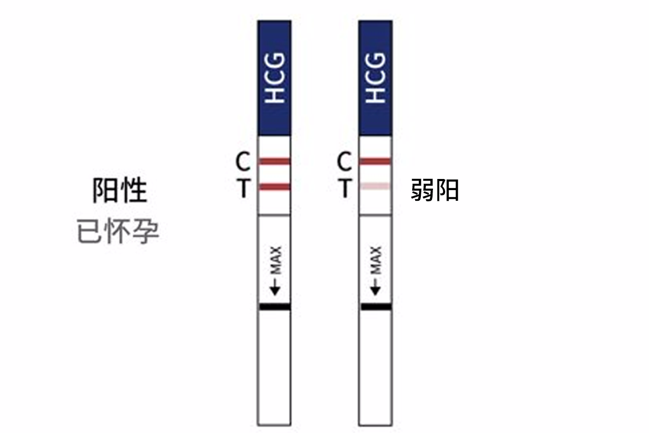 移植后试纸加深图（移植后试纸加深了是怀孕了吗）