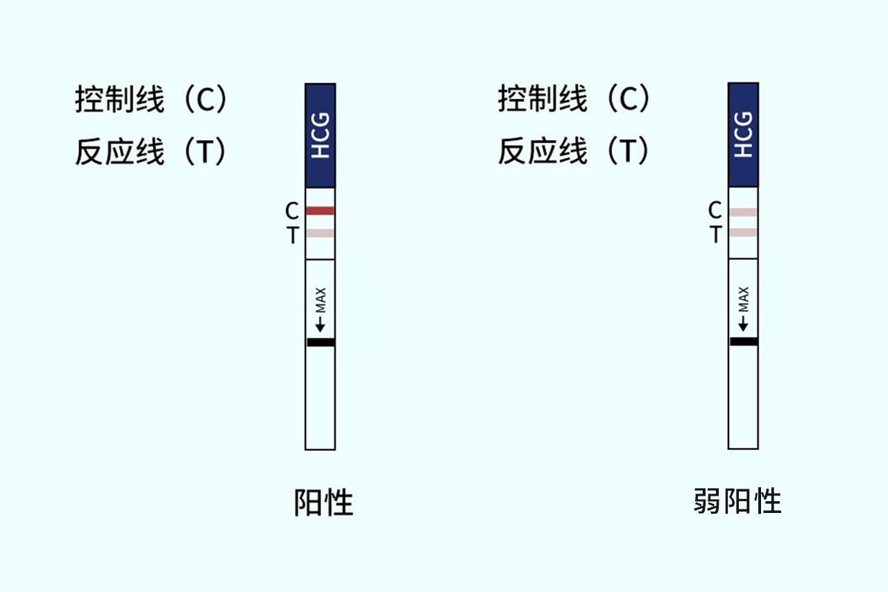 懷孕不太明顯的測試條圖片 懷孕不怎么明顯的驗孕棒圖片