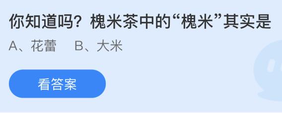 槐米茶中的槐米其实是花蕾还是大米（槐米茶中的槐米其实是花蕾还是大米呢）