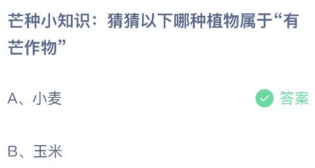 螞蟻莊園今日答案最新6.6：以下哪種植物屬于有芒作物？小麥還是玉米