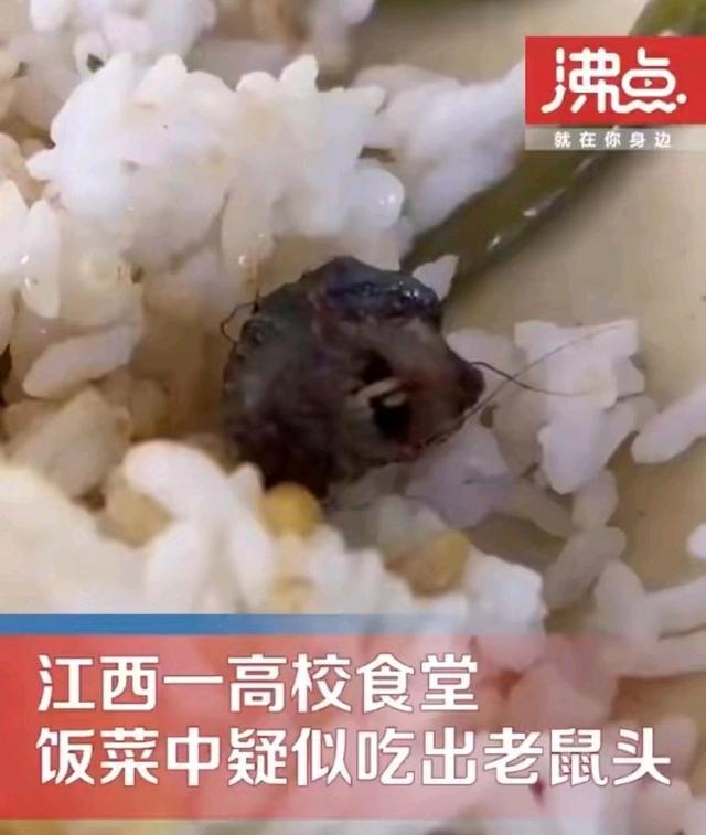 江西成立“江西工职院‘6·1’食品安全事件”联合调查组  