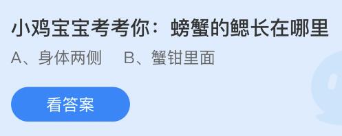 今日蚂蚁庄园小鸡课堂正确答案最新：以下哪种调味料热量偏高？螃蟹的鳃长在哪里？