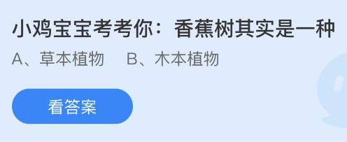 今日蚂蚁庄园小鸡课堂正确答案最新：香蕉树其实是一种？以下哪句古诗更适合作为毕业赠言？