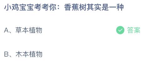 蚂蚁庄园今天小鸡问题正确答案：香蕉树其实是一种草本植物还是木本植物？