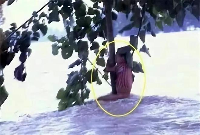 1998年，那个洪水中抱树9个小时获救的7岁小女孩，如今怎么样了？