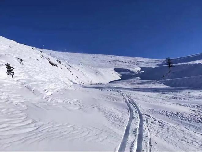 知名滑雪女教練在滑雪場(chǎng)不幸身亡 她是國內(nèi)唯一三級(jí)（滿級(jí)）女滑雪指導(dǎo)員