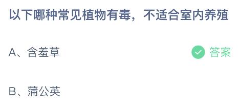 蒲公英和含羞草，哪種植物有毒不適合室內(nèi)養(yǎng)殖？螞蟻小課堂今日答案最新