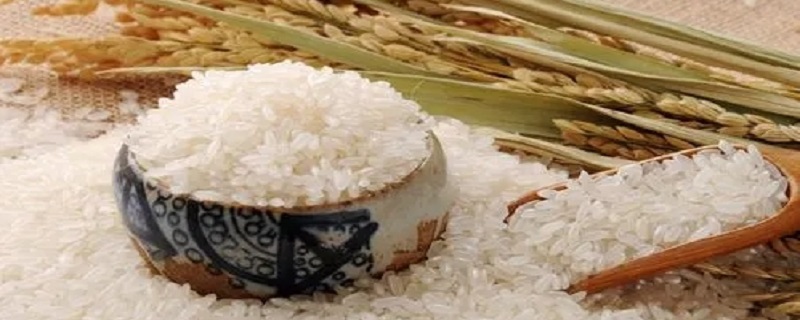 大米的保质期 大米的保质期几年