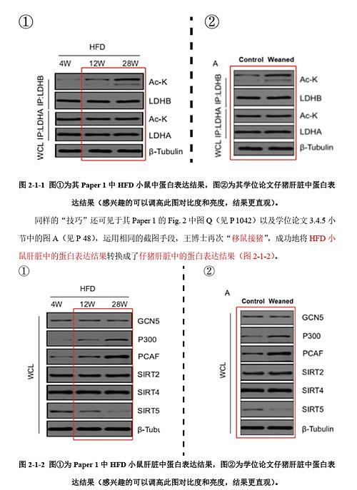 “分手”的决心 分手的决心免费观看完整版高清