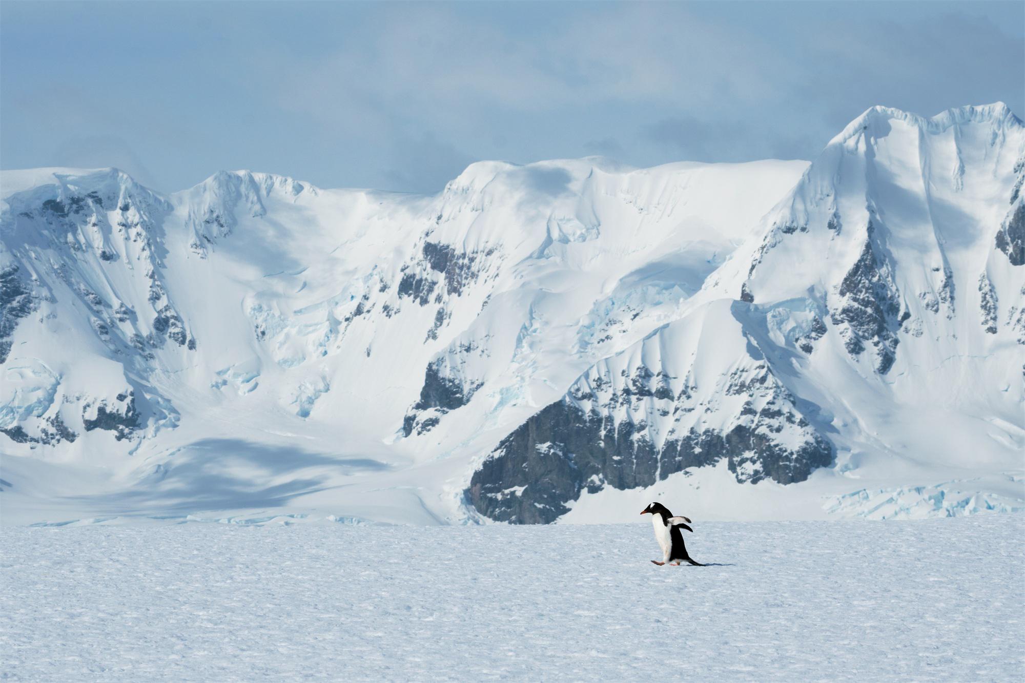 去南极的年轻人，花10万“重启人生”（去南极的电影）