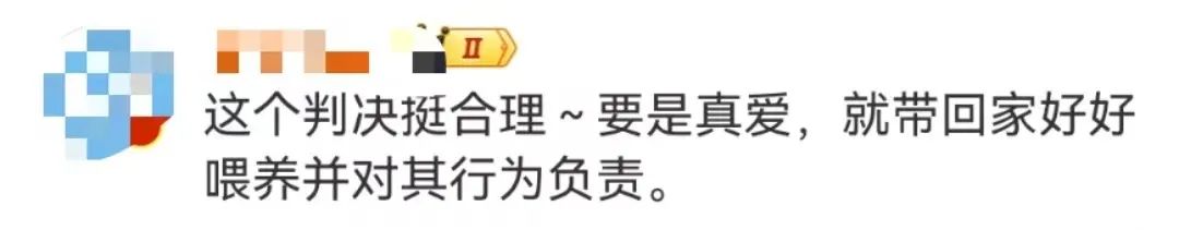 上海男子打球時被流浪貓絆倒致十級傷殘，投喂者判賠24萬…閔行法院：依法再審