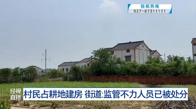 武漢一地村民占耕地建房，多方回應，當?shù)亟值溃合嚓P(guān)人員已被處分