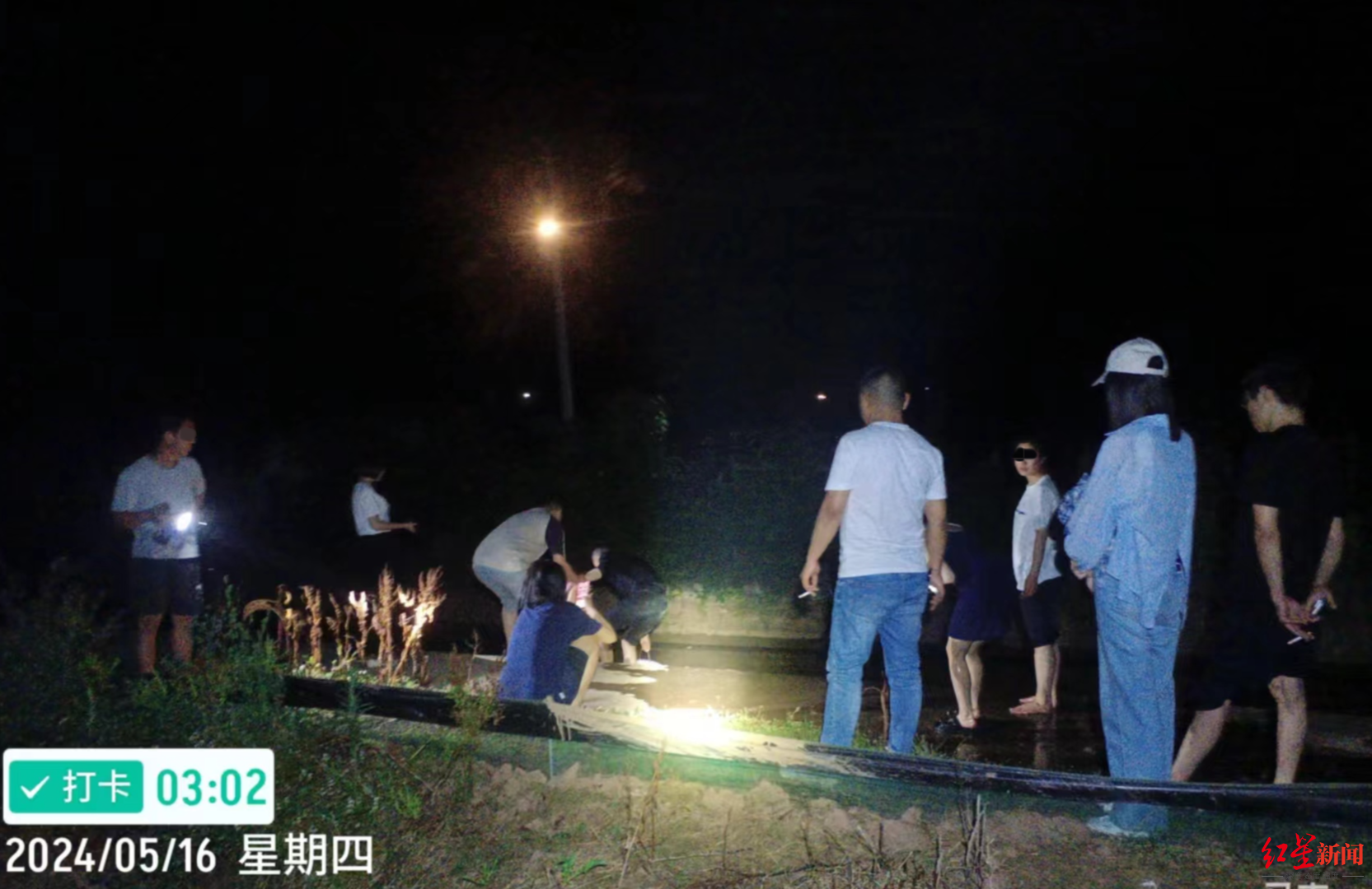 误传“随便捡”致养殖基地遭哄捡万斤种虾：现已无人捡龙虾，老板称正考虑追责