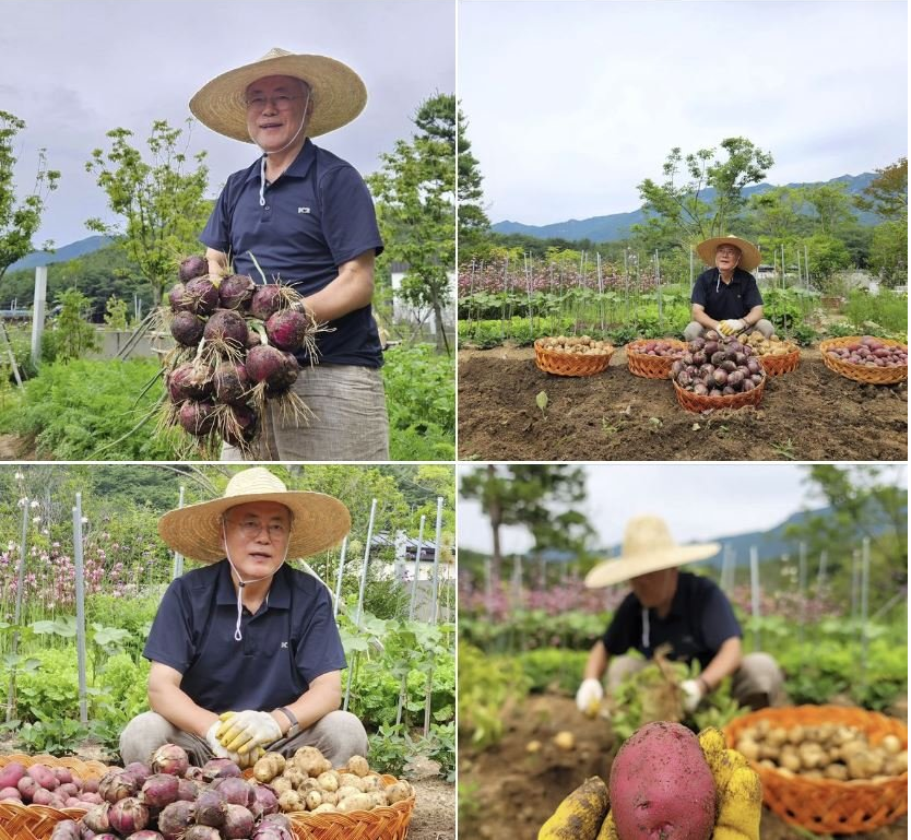 檢方宣布對文在寅夫人啟動調(diào)查同天，韓媒：文在寅曬勞作照片，“顯得非常平靜”