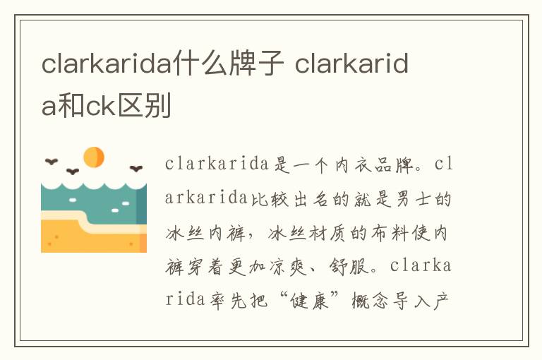 clarkarida什么牌子 clarkarida和ck区别