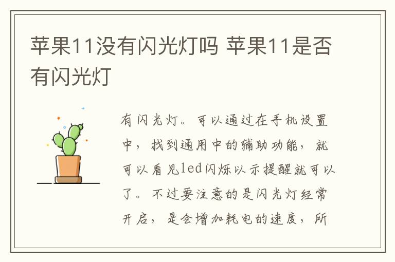 苹果11没有闪光灯吗 苹果11是否有闪光灯